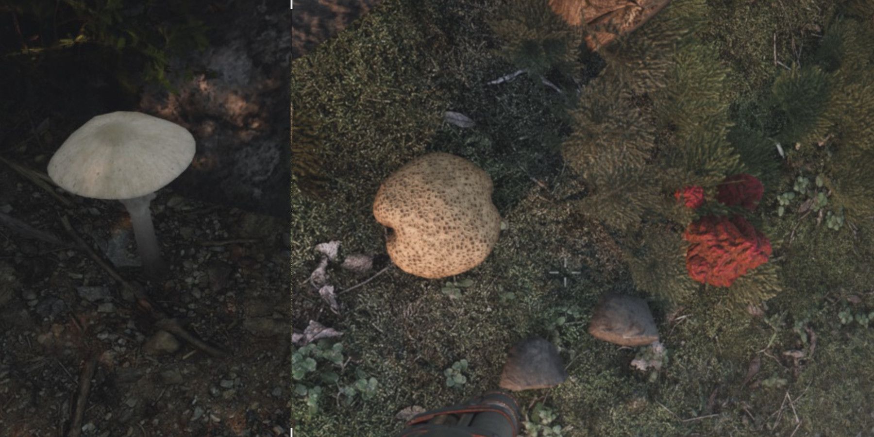 Witchfire: Expert Strategies for Newcomers