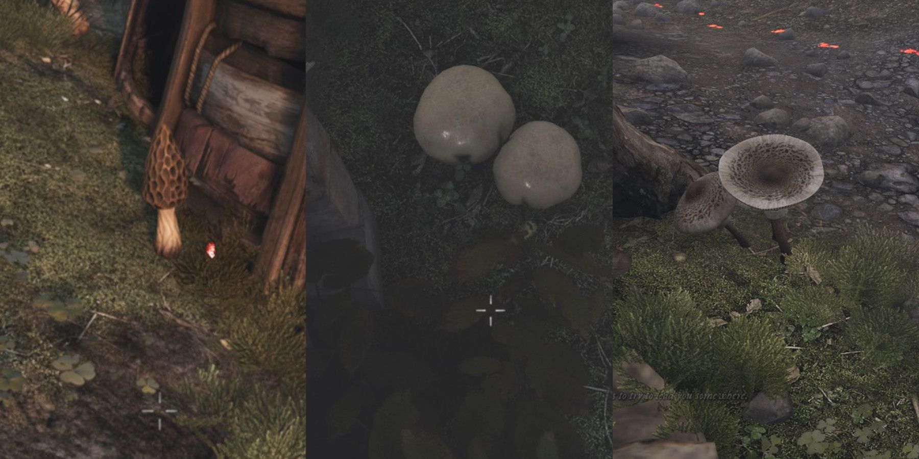 Witchfire: Expert Strategies for Newcomers