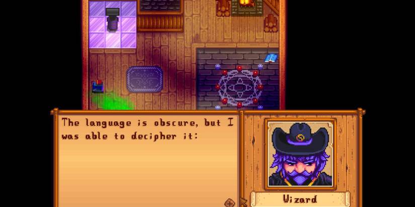 wizard stardew valley