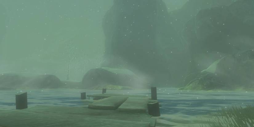 Zelda Tears of the Kingdom Sturnida Hot Spring