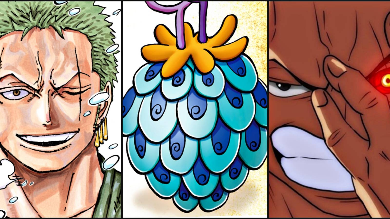 Zoro Devil Fruit Power