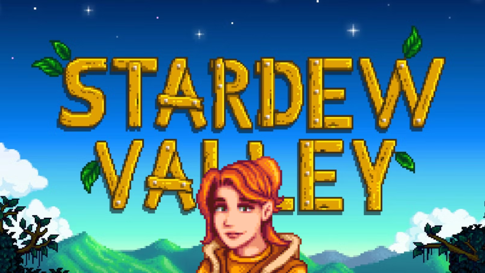 robin stardew valley