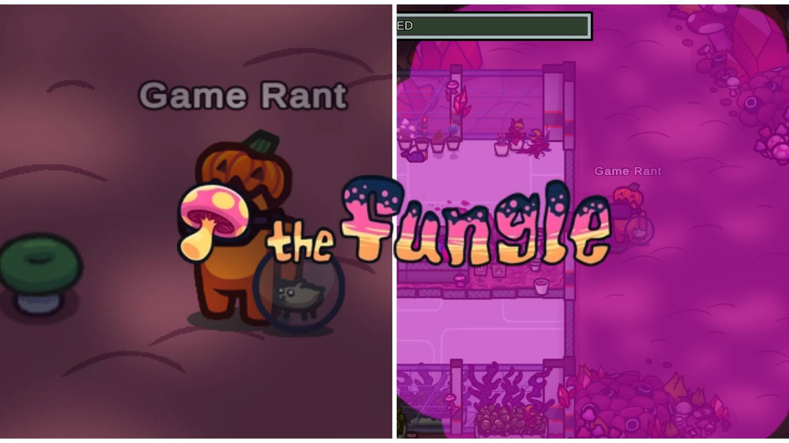 A crewmate stands next to a green mushroom, one that triggers a mushroom cloud in The Fungle map.