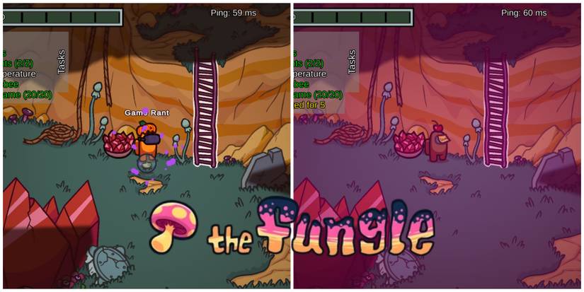 The appearance of this crewmate gets randomized when impostors perform the Mushroom Mixup sabotage in The Fungle.