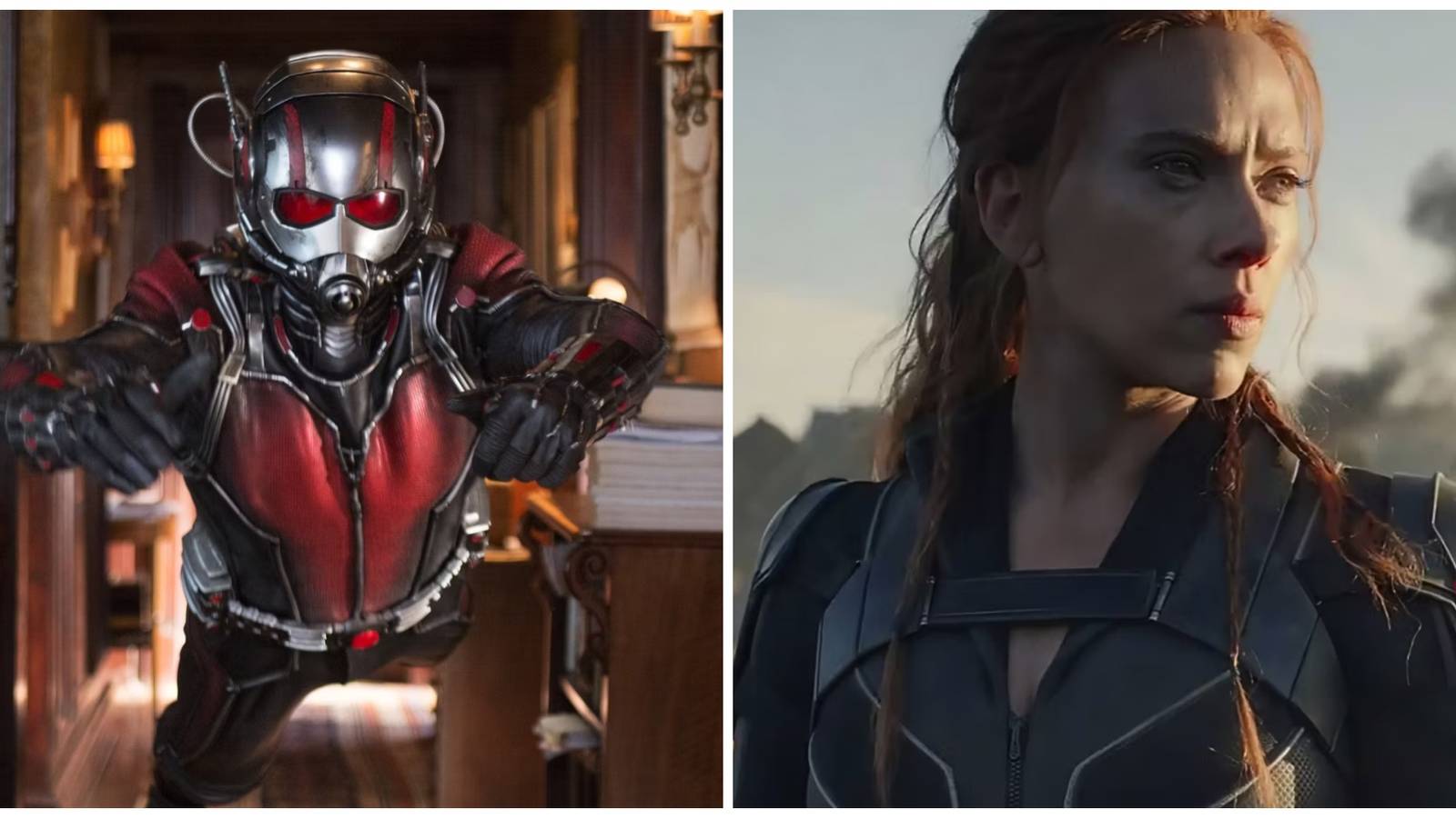 ant-man and black widow