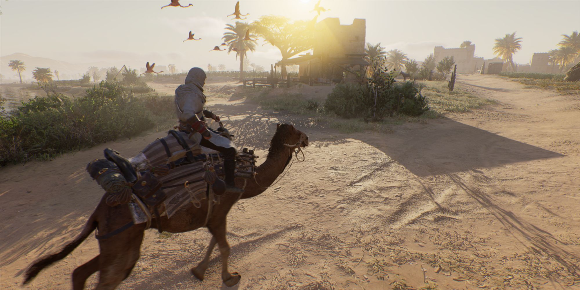 Assassin's Creed Riding Camel