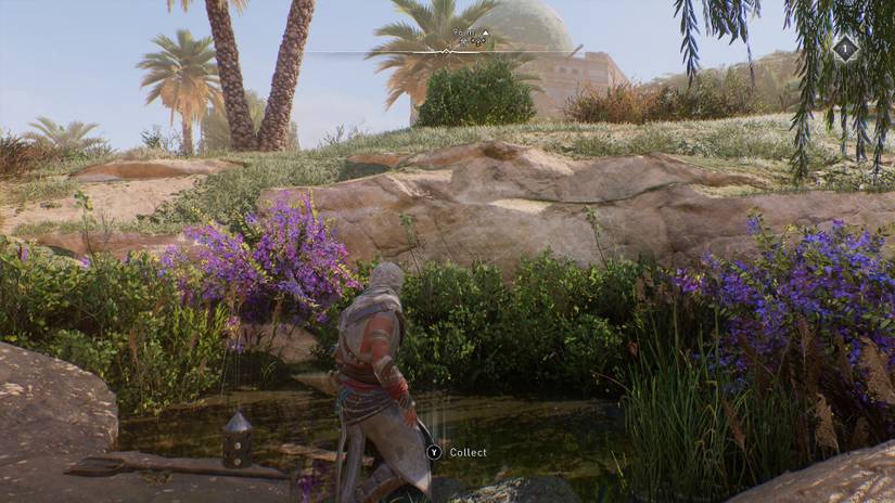 assassins creed mirage delight dome solution