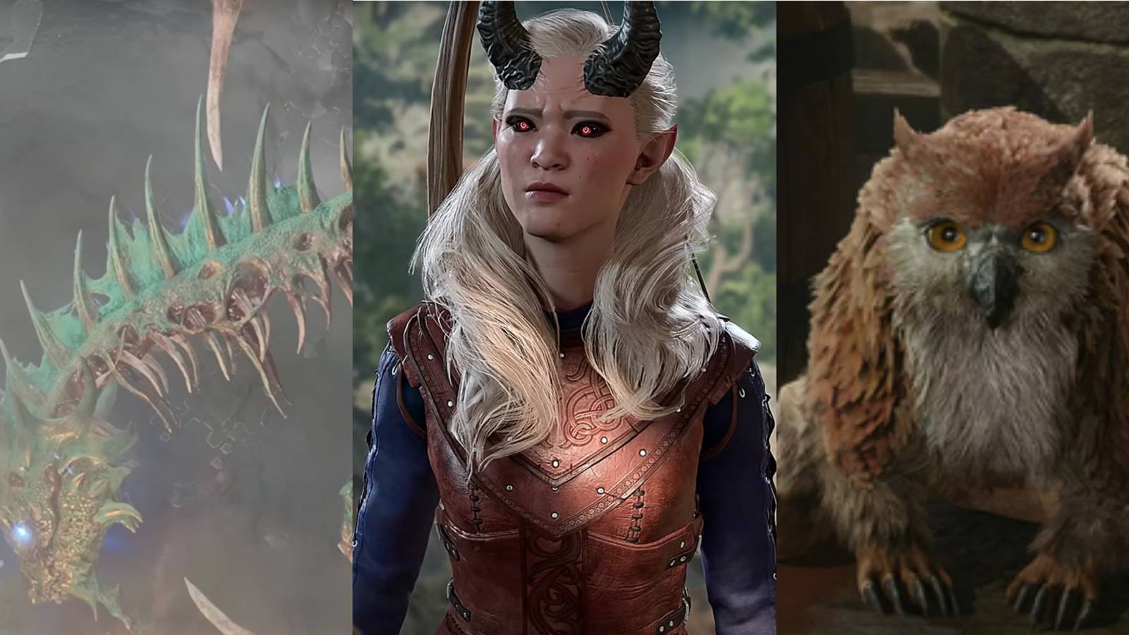 Baldur's Gate 3, Ansur Dragon Skeleton, Ellyka, Owlbear Cub