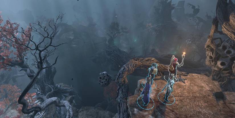 The land plagued by the shadow curse in BG3