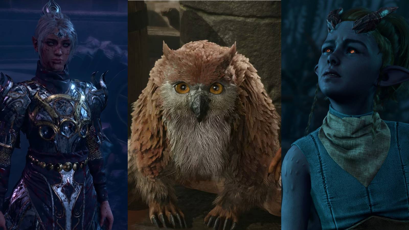 Baldur's Gate 3, Shadowheart, Owlbear Cub, Arabella