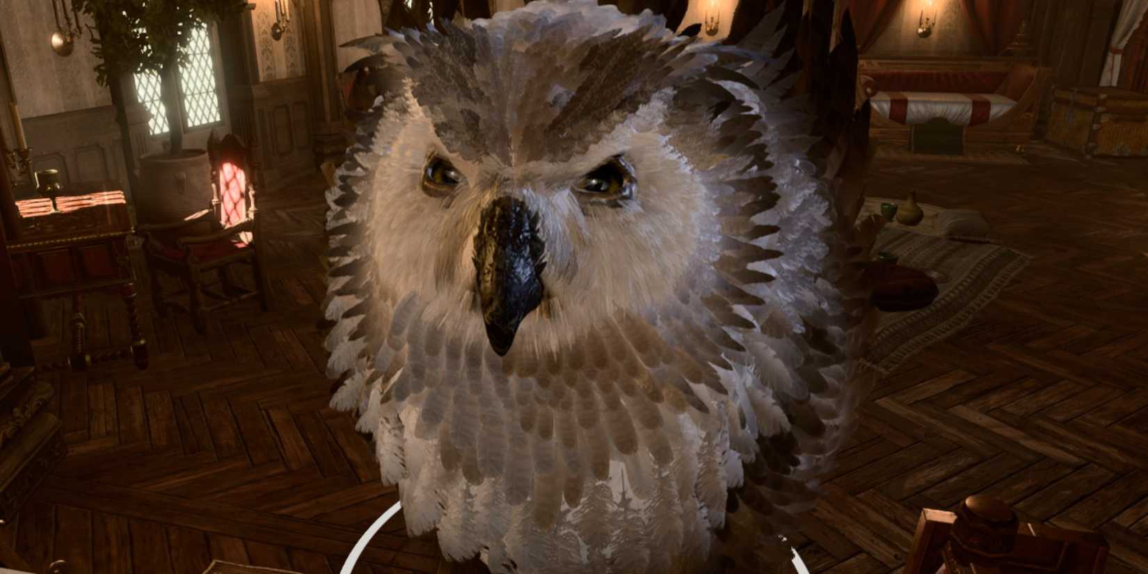 Baldur's Gate 3 Best Druid Wild Shapes