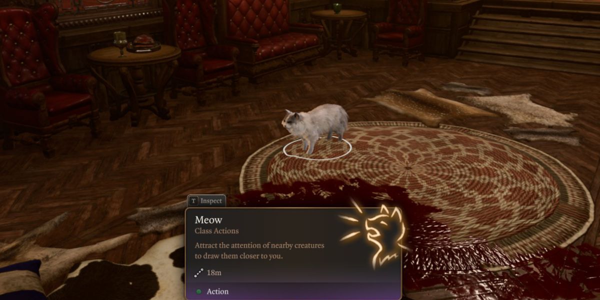 Baldur's Gate 3 Druid Wild Shape Cat