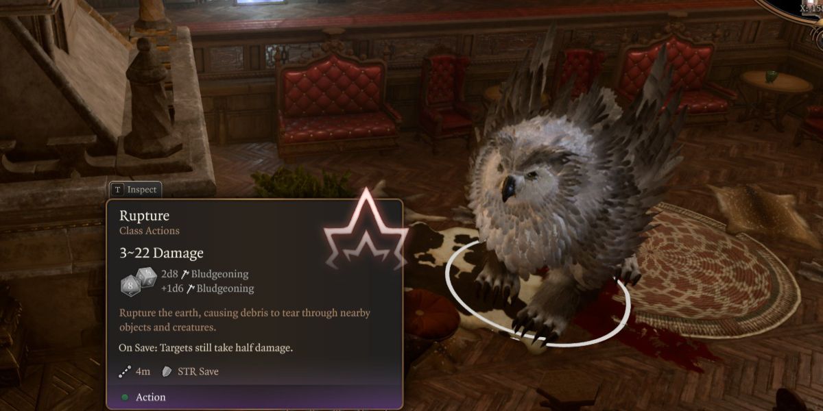 Baldur's Gate 3 Druid Wild Shape Owlbear