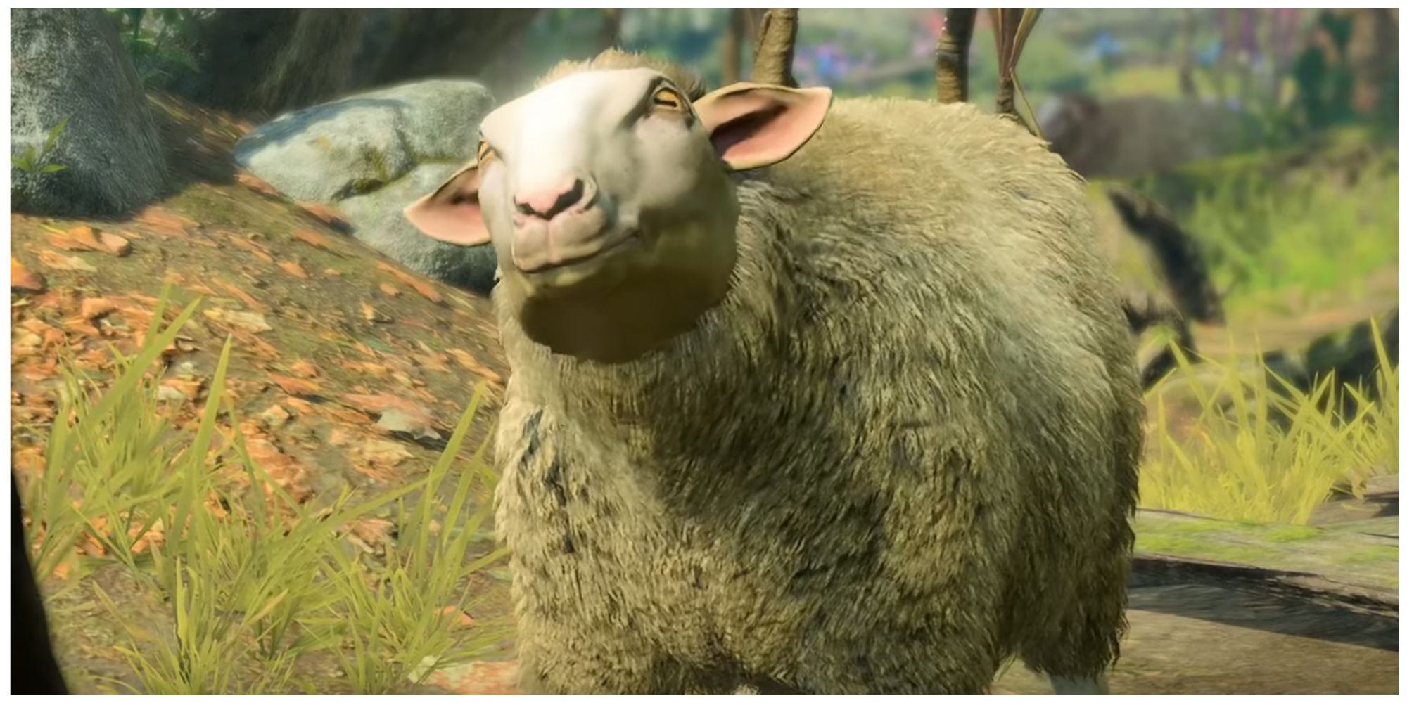 Baldur's Gate 3, Sheep