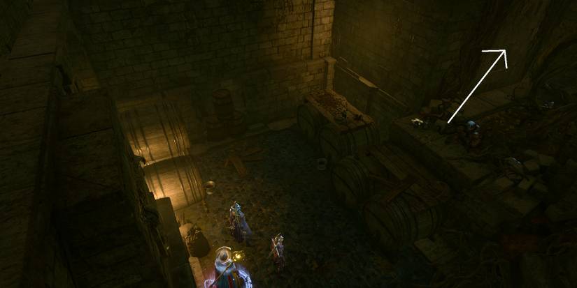 Baldurs Gate 3 Avenge Hag Basement