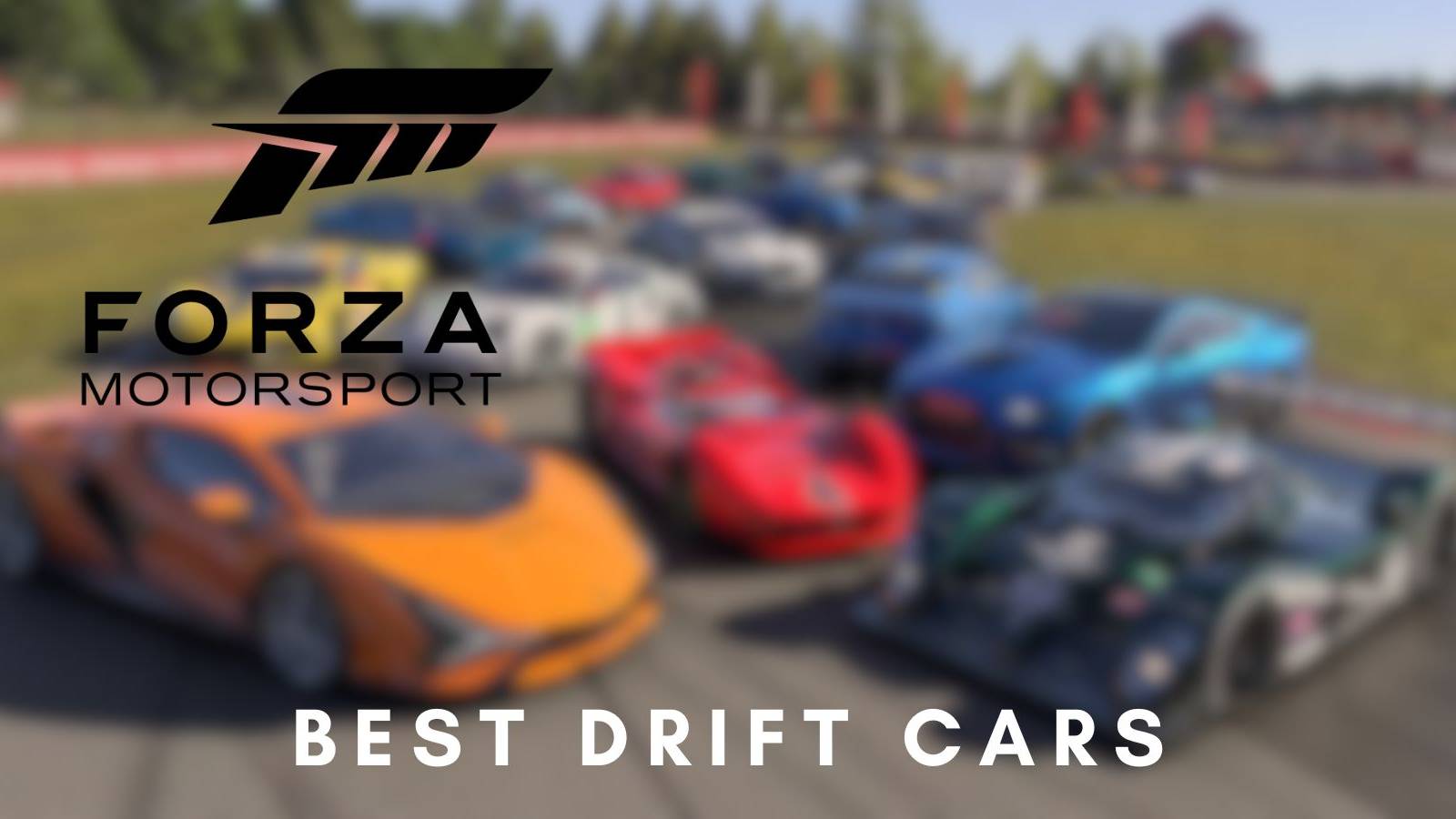 forza motorsport
