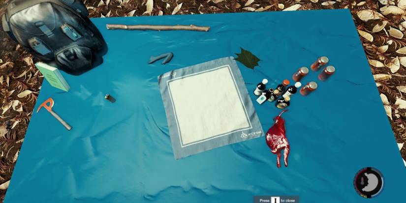 Bigger Backpack in The Forest