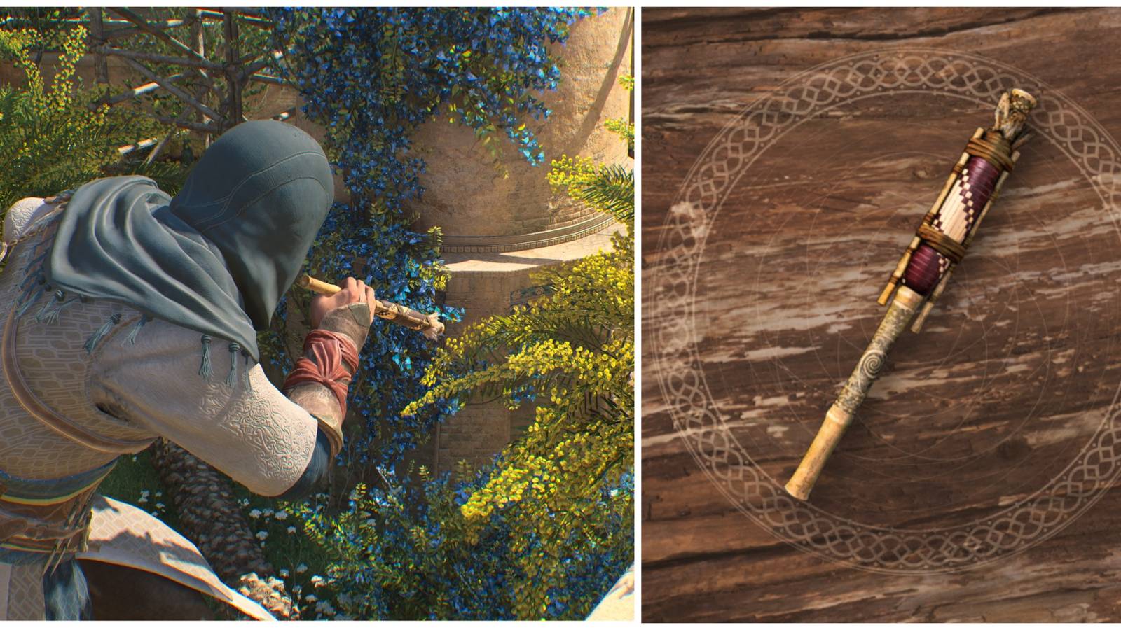 using the blowdart and display image