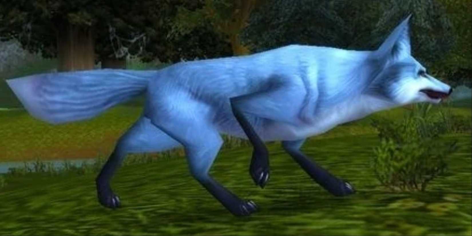 Bushtail wow elwynn forest