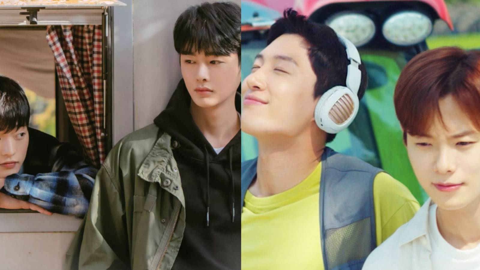 cherry blossoms after winter and love tractor