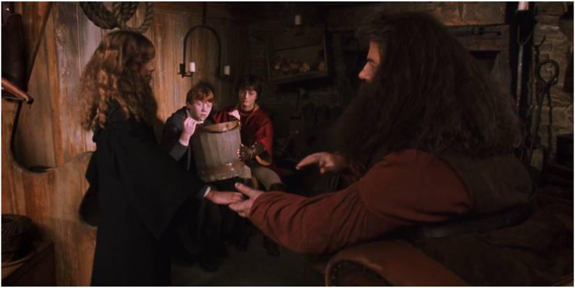 Harry Ron Hermione and Hagrid in Harry Potter and the Chamber of Secrets.