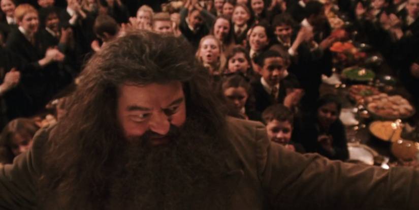 Hagrid at Hogwarts in Harry Potter and the Chamber of Secrets.