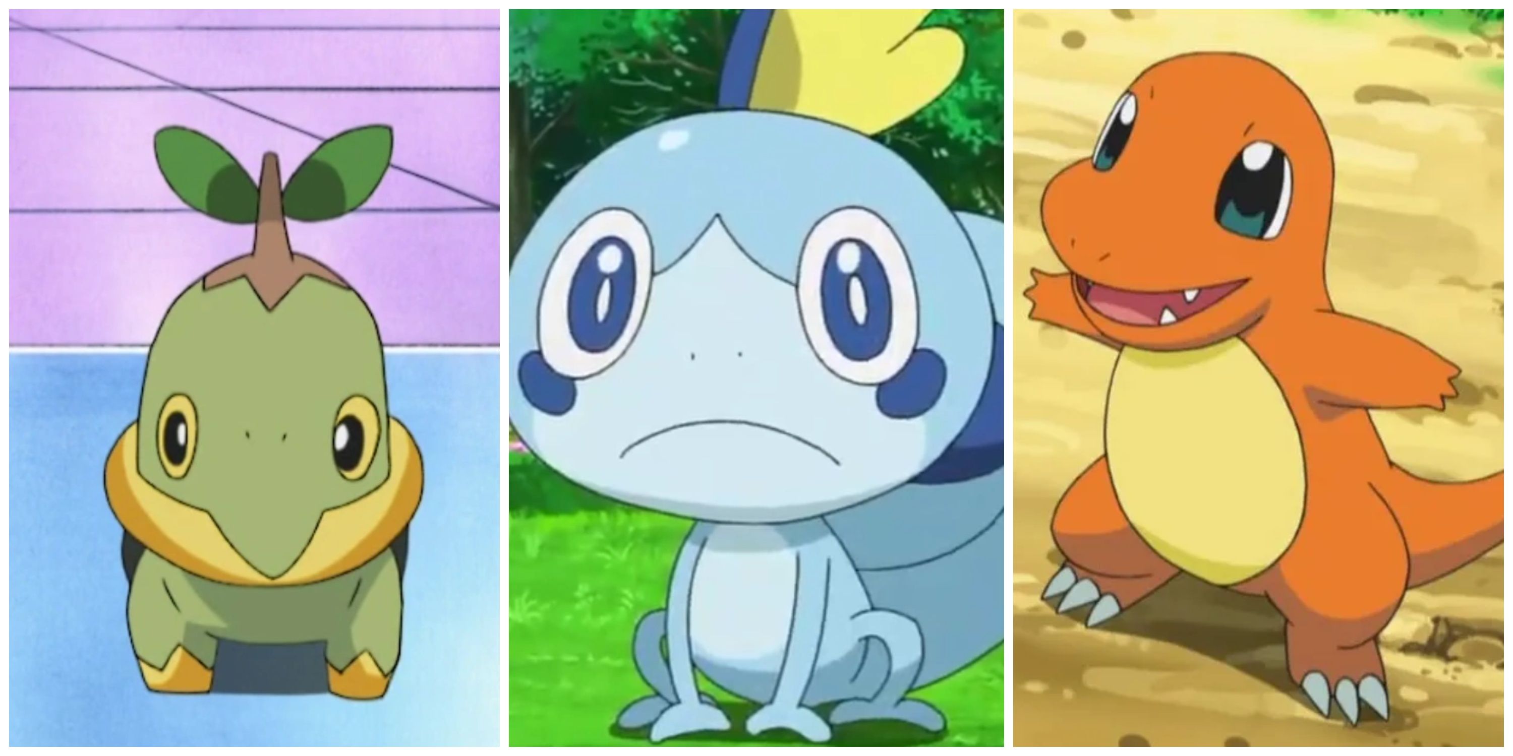 Pokemon Unova Starters 22