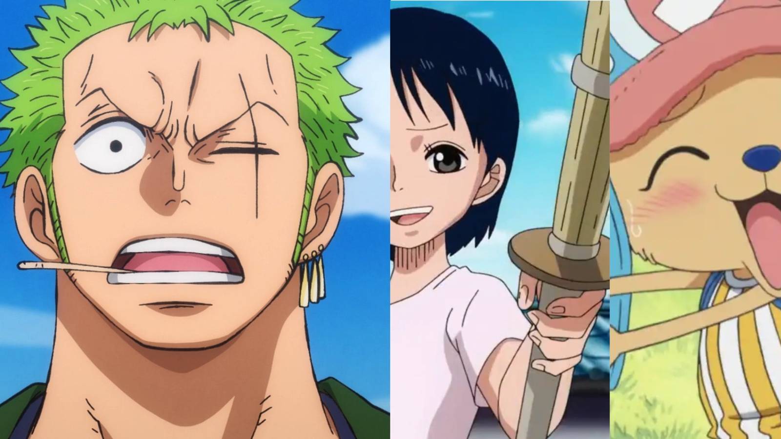 Zoro, Chopper and Kuina