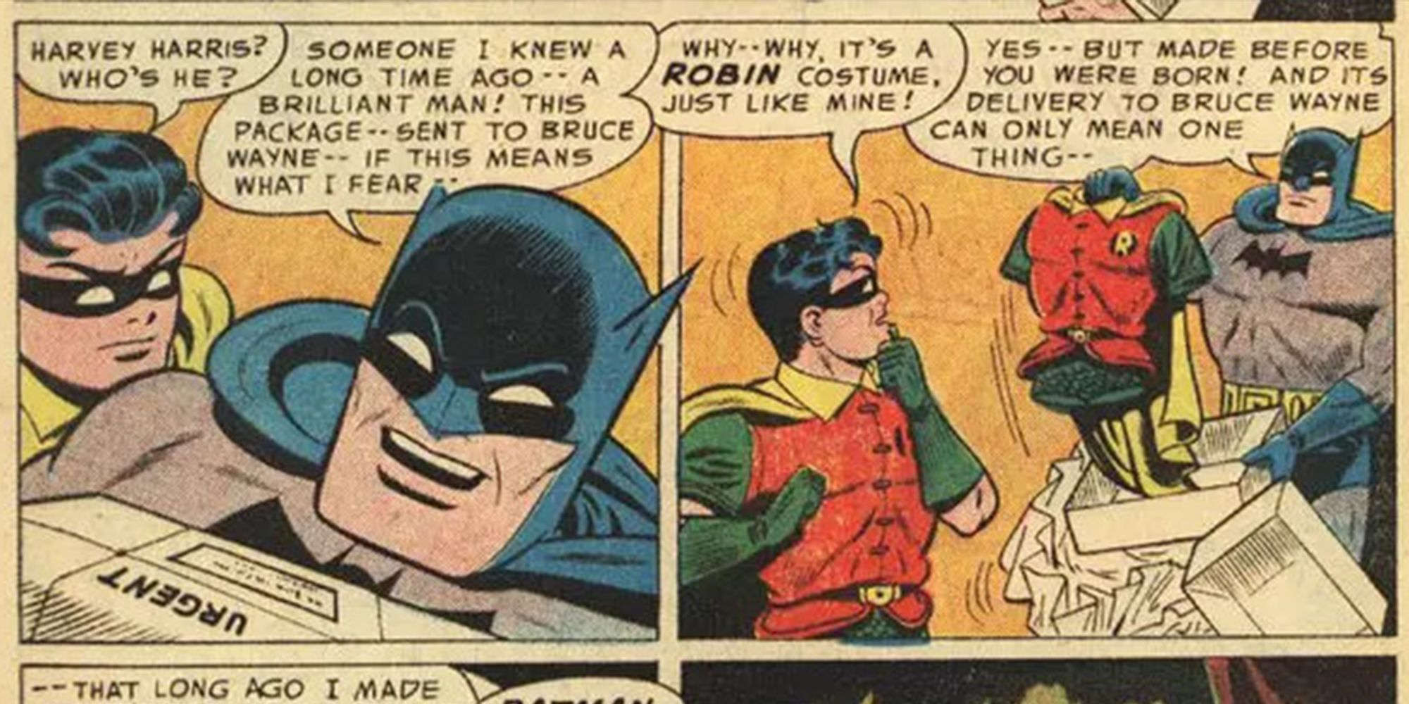 Comic Panel Featuring Bruce Wayne As Robin
