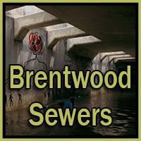 Dead Island 2 - Brentwood Sewers ICon