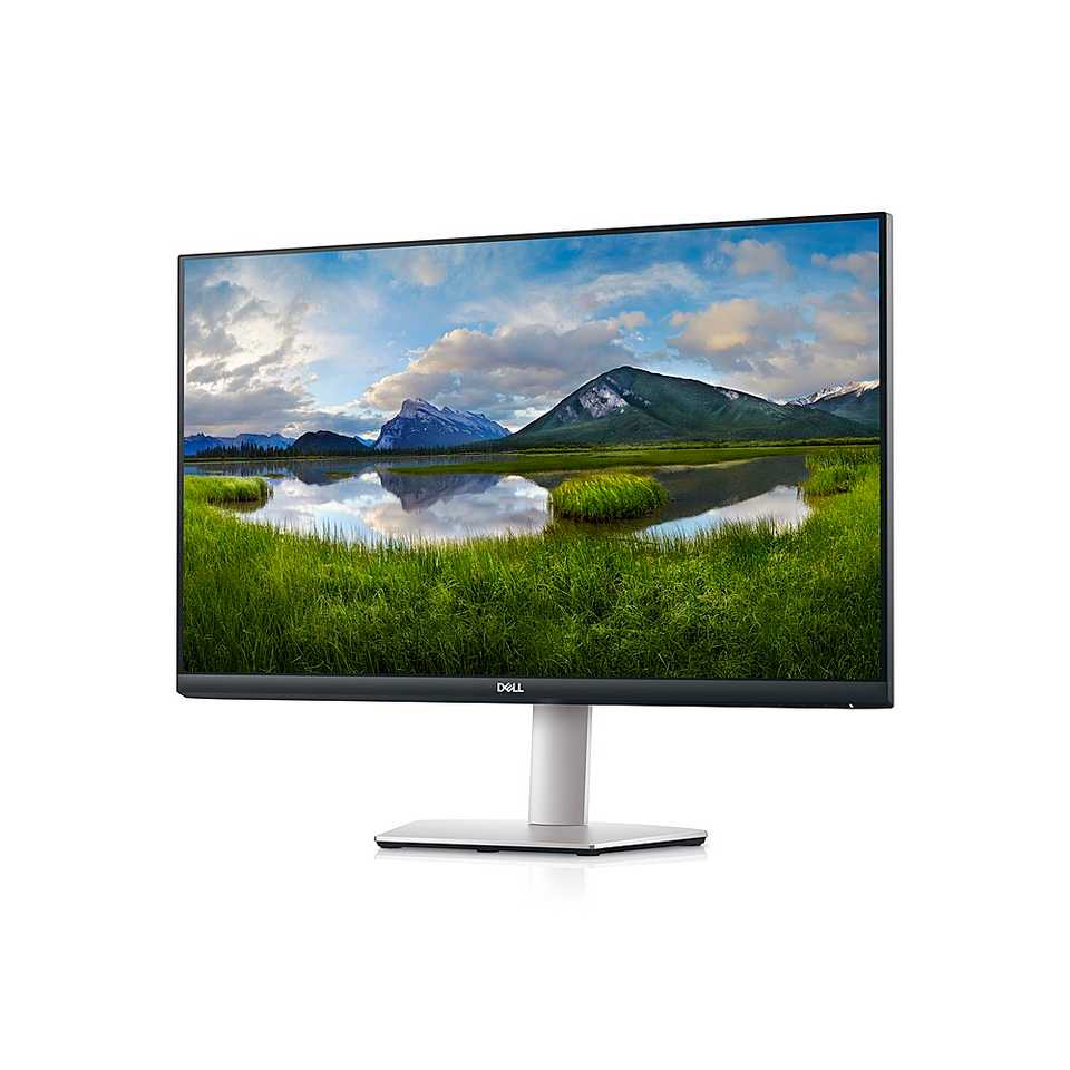 dell monitor