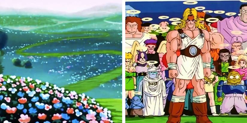 Dragon Ball Heaven Halo