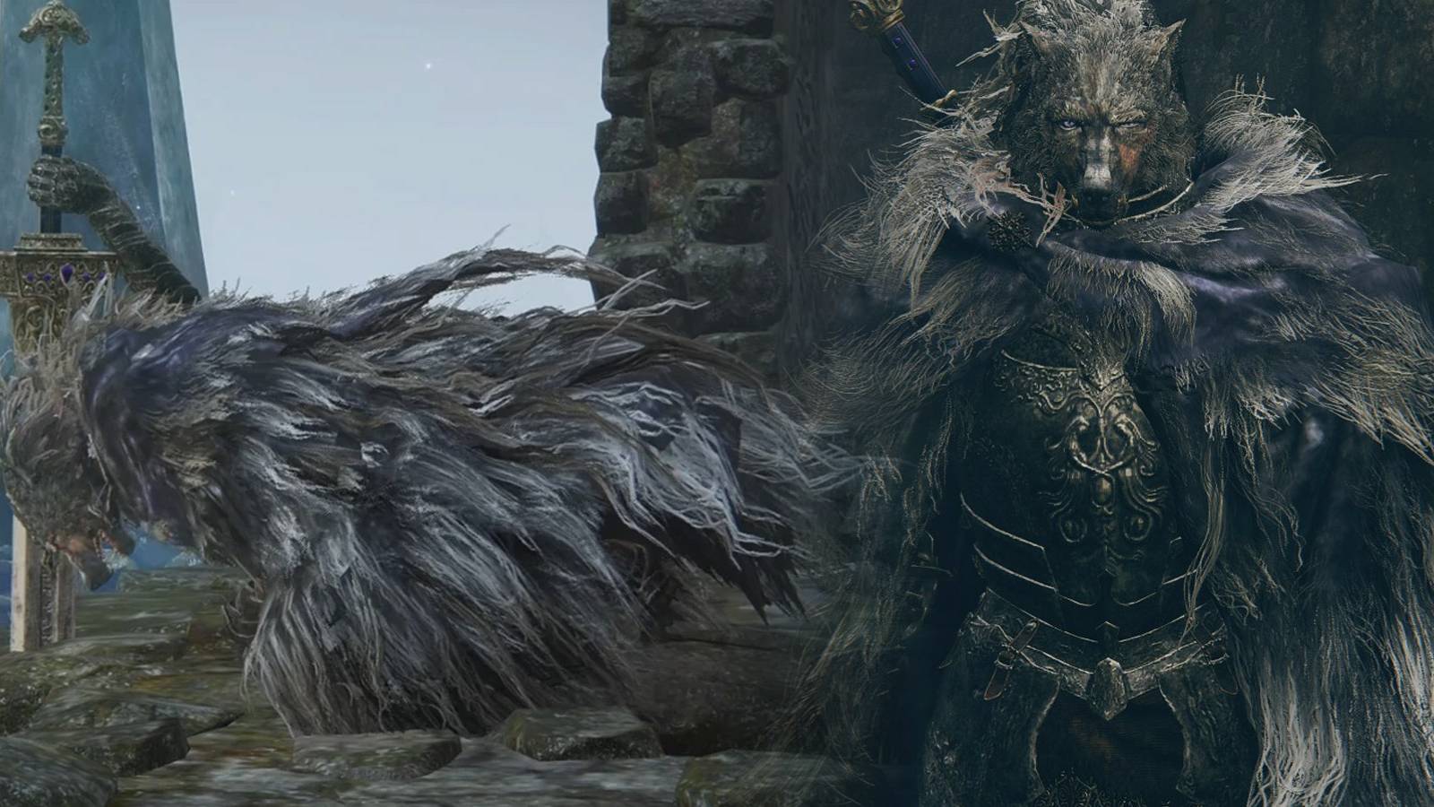 Elden Ring Blaidd Sad