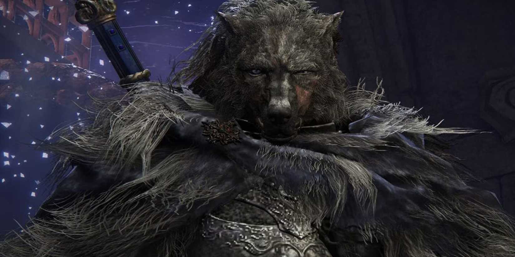 Elden Ring - Close Up On Blaidd's Face