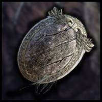 Elden Ring - Icon Of Clawmark Seal