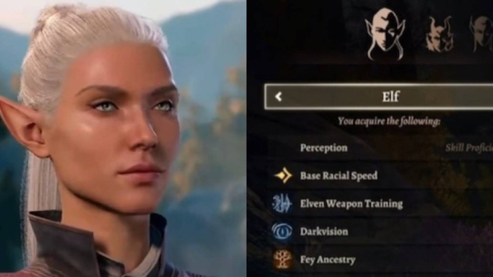 Elf build baldur's gate 3