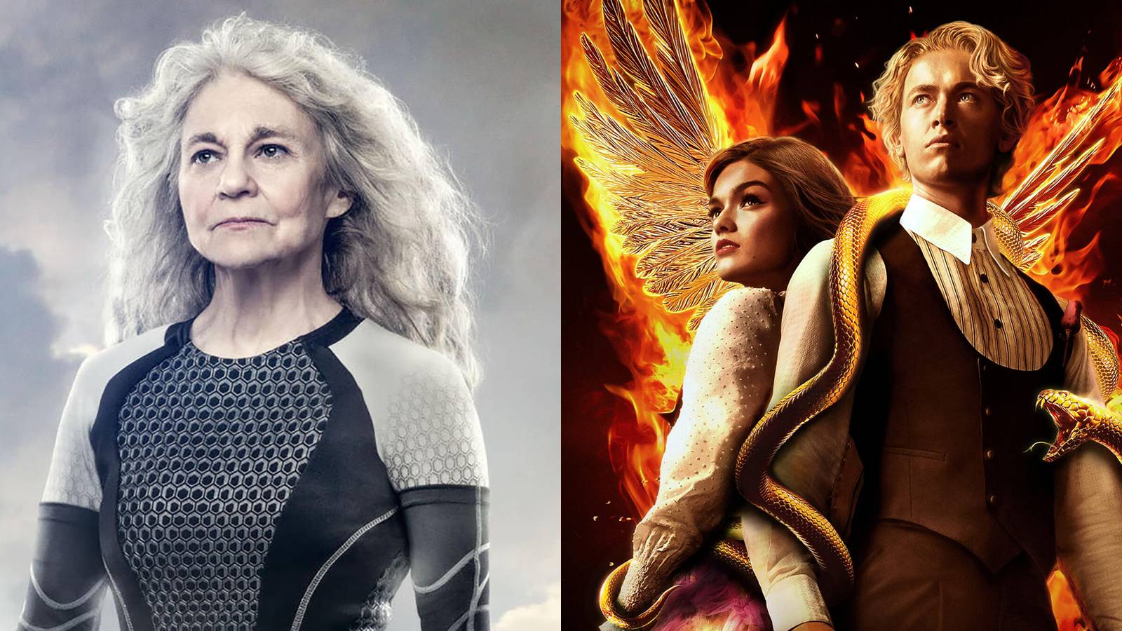 Events Before The Hunger Games Films