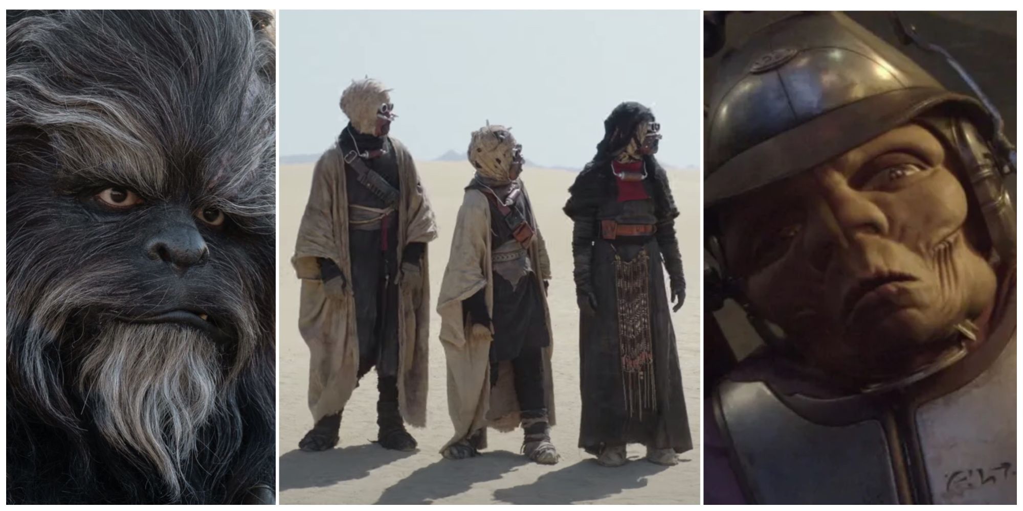 Várias espécies alienígenas: Wookiee, Tusken Raiders e Clawdite Zam Wesell