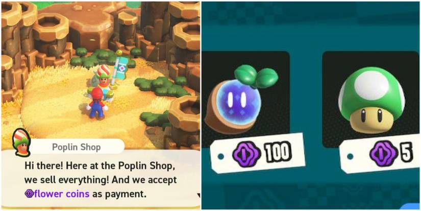 visiting a poplin shop