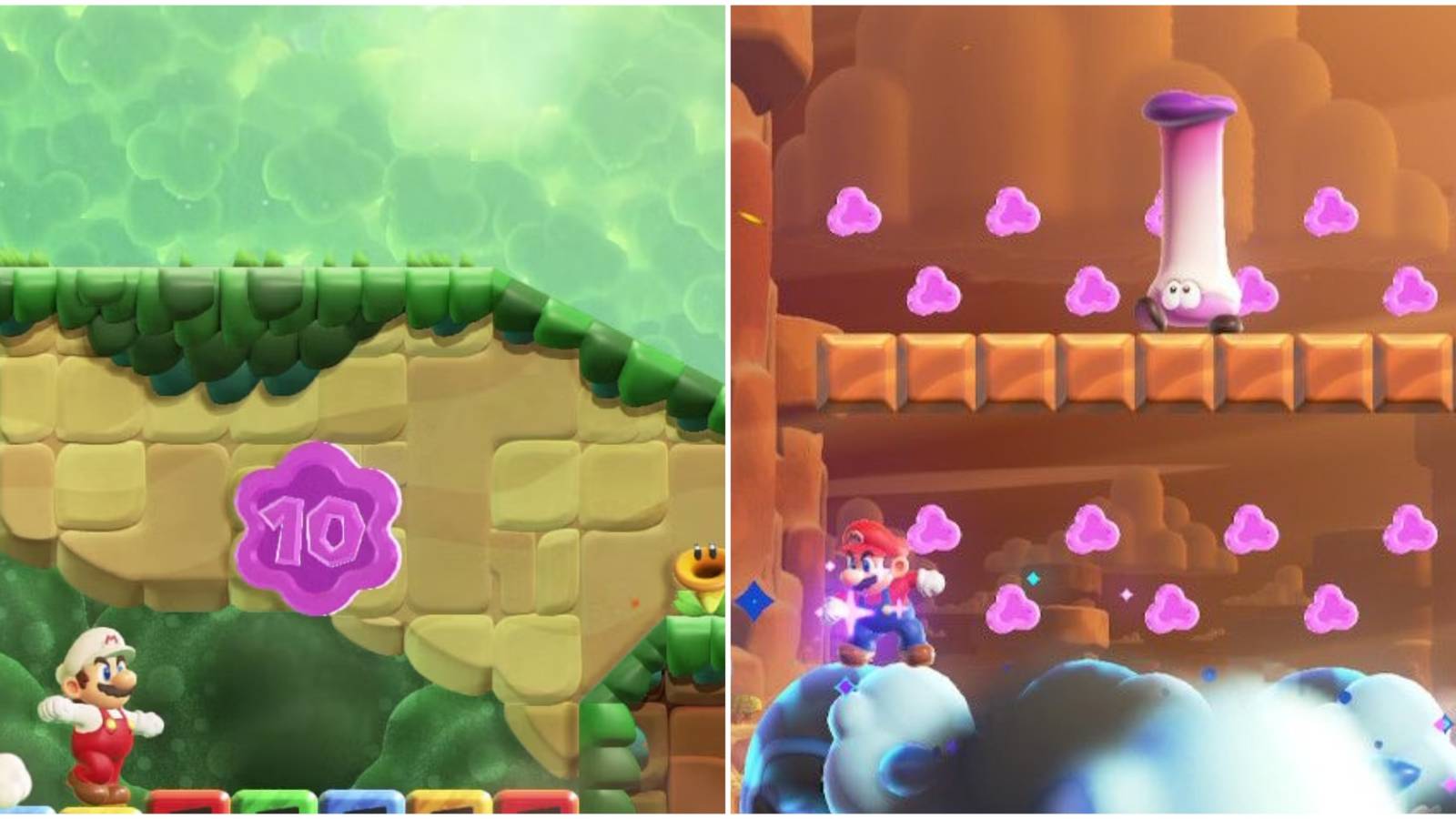 different sized flower coin mario