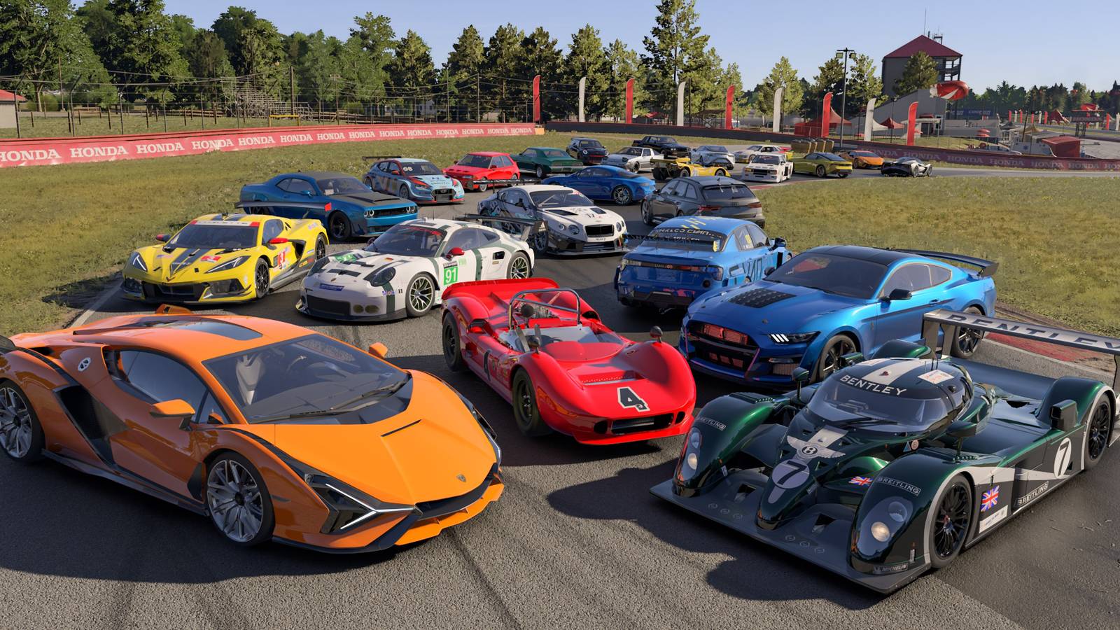 forza-motorsport-cars