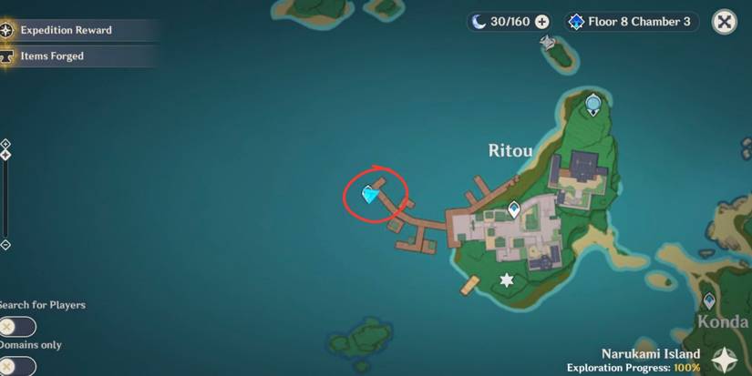 Genshin Impact: Inazuma Viewpoint 1