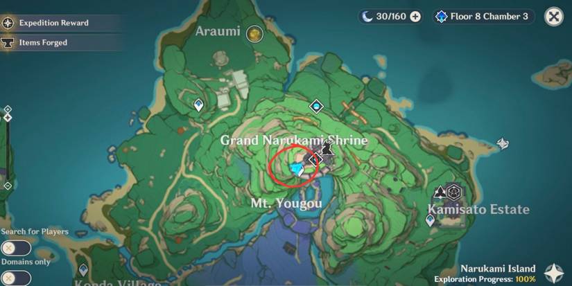 Genshin Impact: Inazuma Viewpoint 2