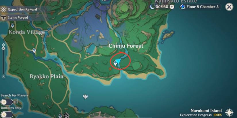 Genshin Impact: Inazuma Viewpoint 3