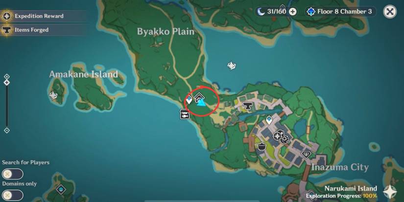 Genshin Impact: Inazuma Viewpoint 4