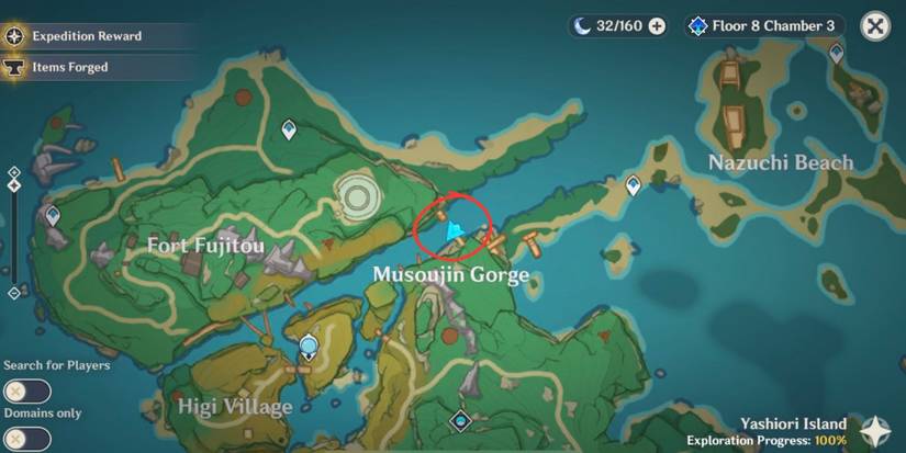 Genshin Impact: Inazuma Viewpoint 9