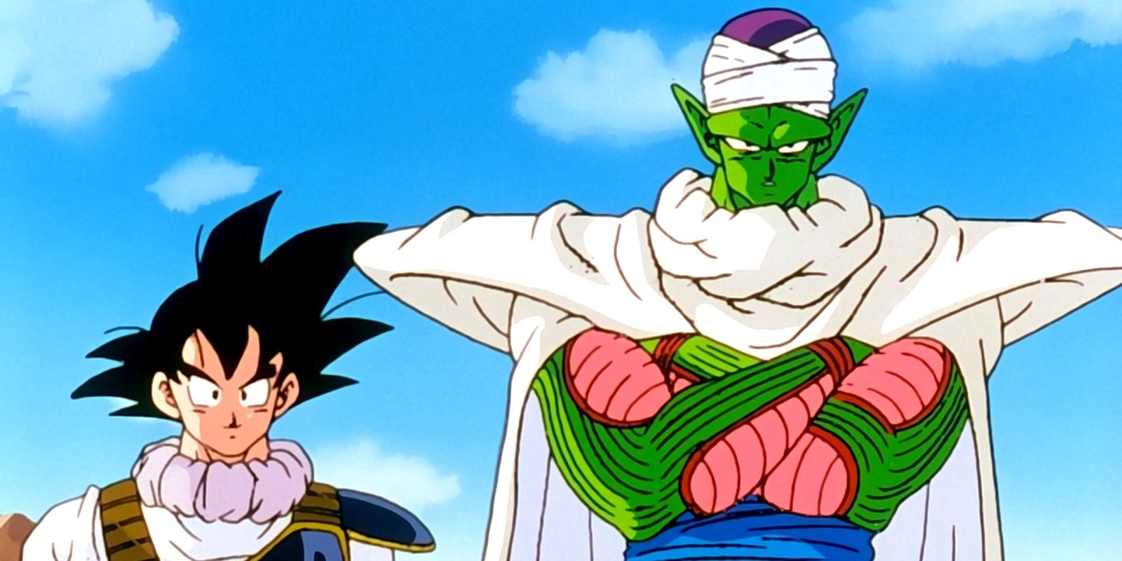 Goku and Piccolo in Dragon Ball Z