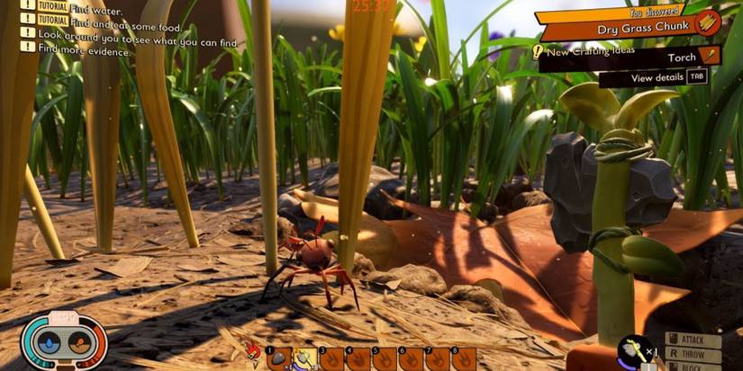 a player exploring in Grounded