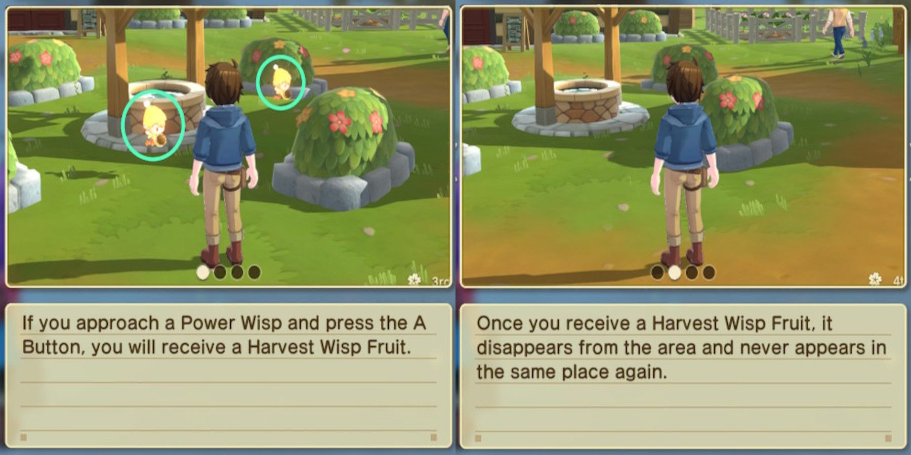 Harvest-Moon-Winds-Anthos-Power-Gold-Wisps-Guide-02-1