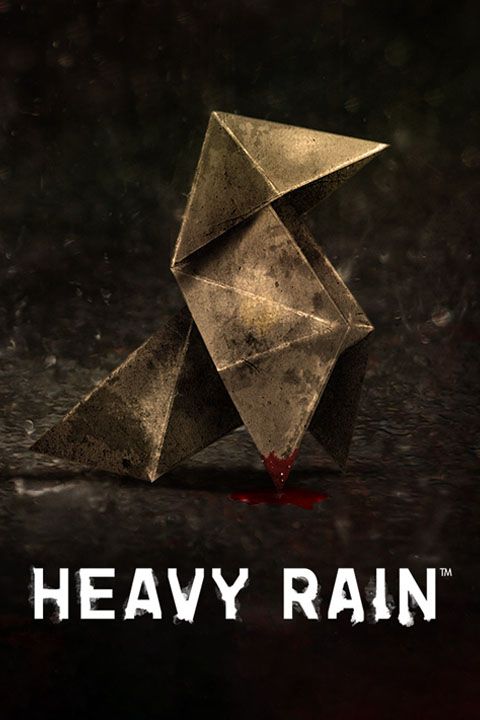 heavy-rain-cover